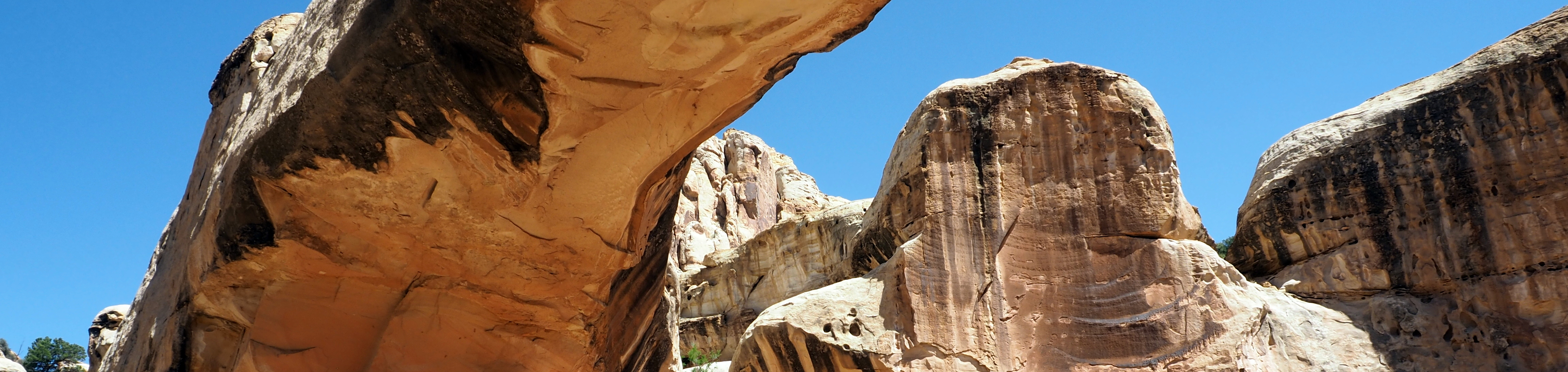 Arches National Park, Utah Guided Walking Tours By John & Lyn